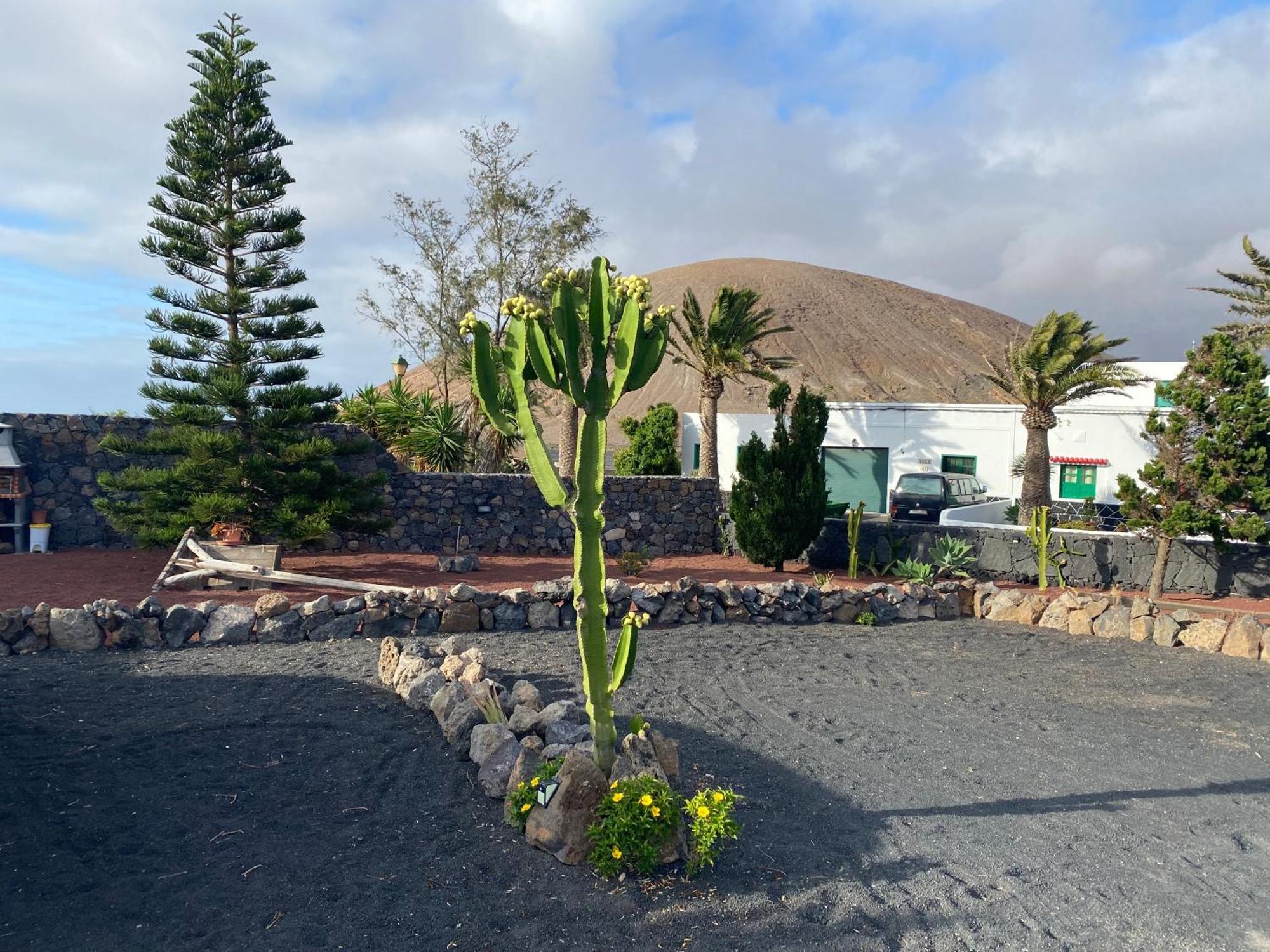 La VeguetaCasa Carla别墅 外观 照片